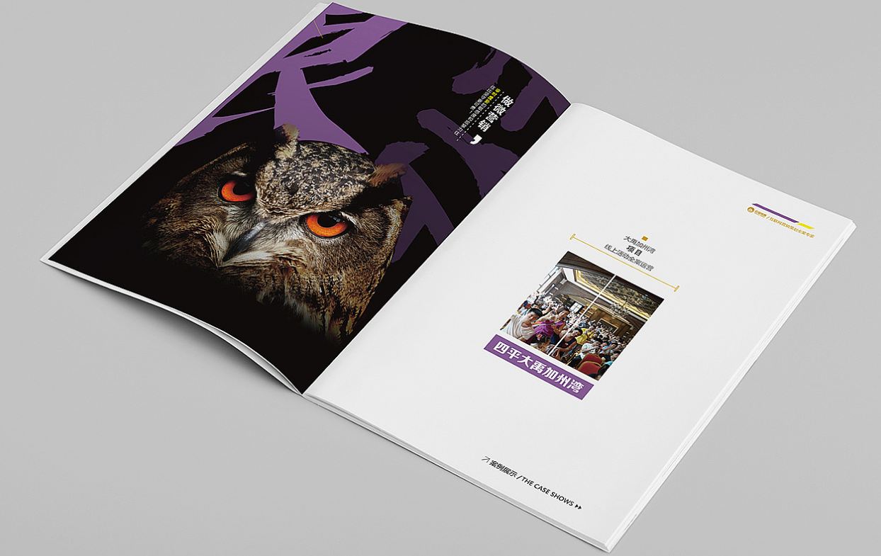 广州画册设计之it企业画册设计 广州画册设计之it企业画册设计