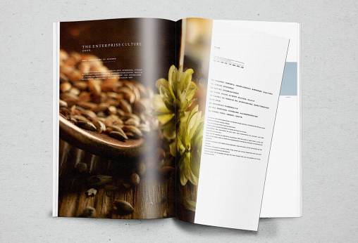 东莞画册设计如何风格定位？